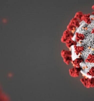 COVID-19 Information - image of coronavirus molecule